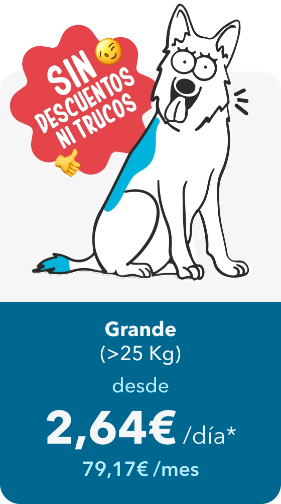 Grande (más de 25 kg): desde 2,64 € al día, 79,17 € al mes. Sin descuentos ni trucos