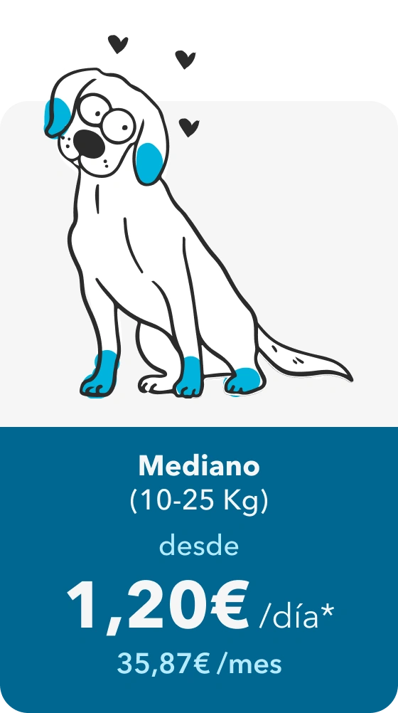 Mediano (10-25 kg): desde 1,20 € al día, 35,87 € al mes