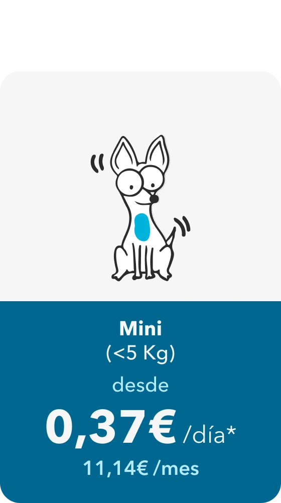 Mini (menos de 5 kg): desde 0,37 € al día, 11,14 € al mes
