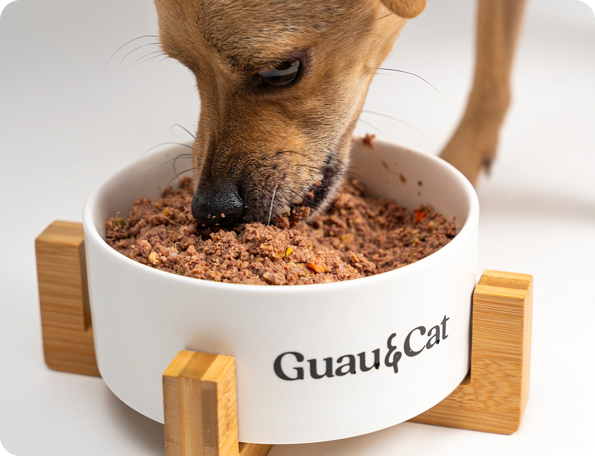 Perro comiendo comida natural de Guau&Cat
