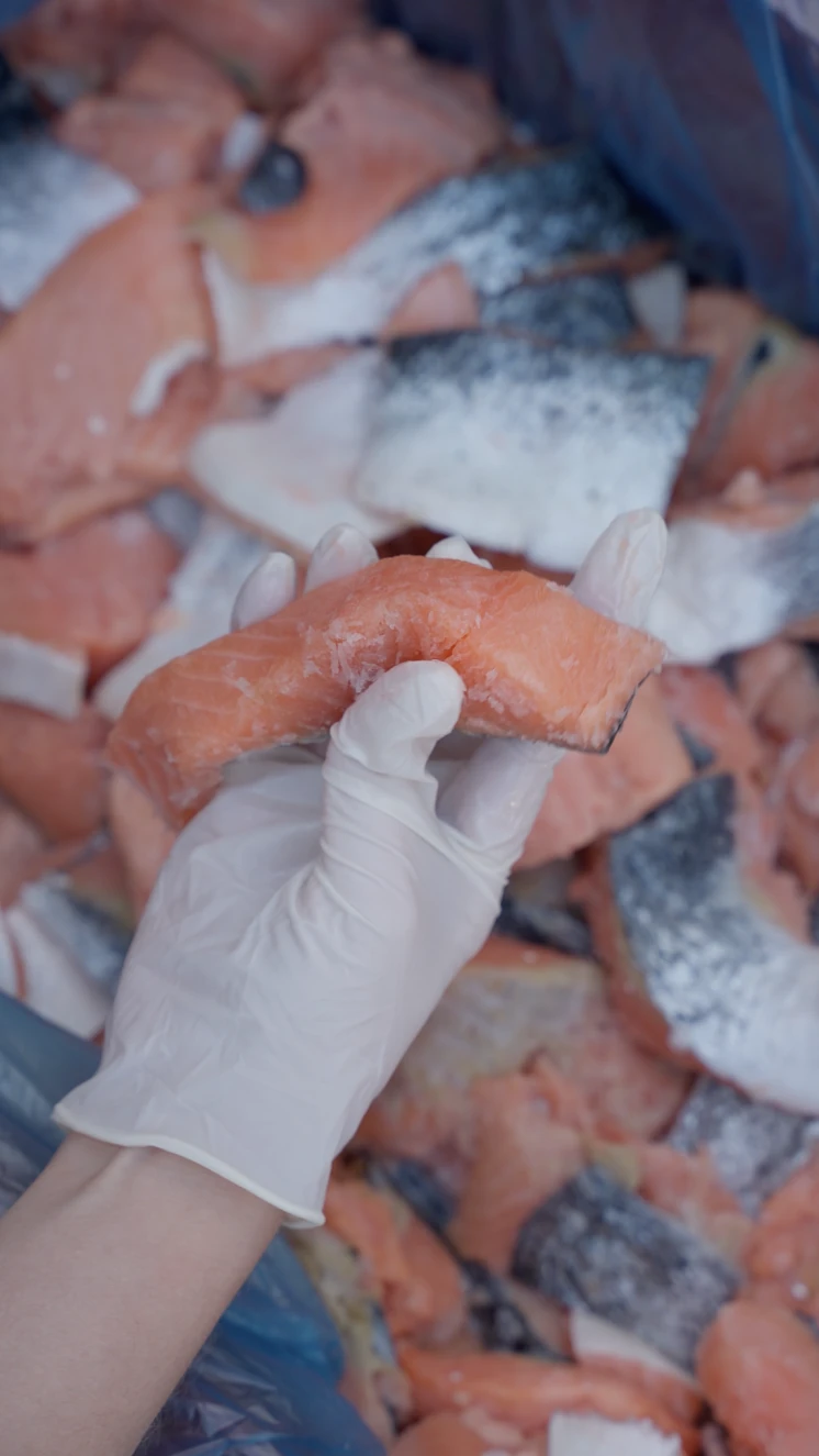 Cocina Guau&Cat — vídeo 1: proceso de elaboración de comida natural para mascotas, selección de ingredientes