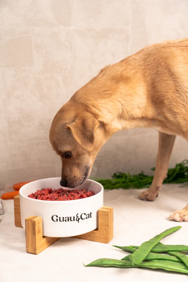 Dieta cruda BARF Guau&Cat: comida cruda natural para perros y gatos con ingredientes triturados, carne, vísceras y vegetales