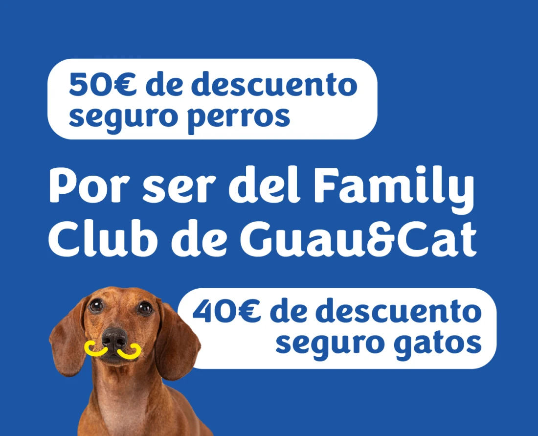 50 € de descuento en el seguro de perros y 40 € en el de gatos por ser del Family Club de Guau&Cat