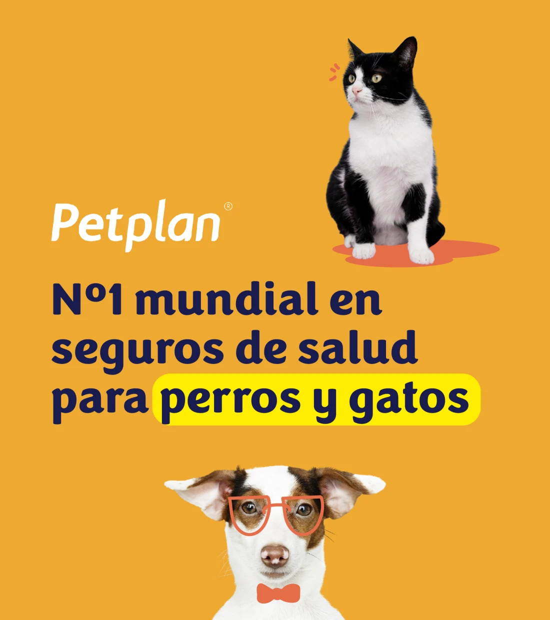 PetPlan, nº1 mundial en seguros de salud para perros y gatos