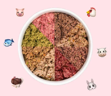 Cuenco de comida de Guau&Cat dividido en cuatro con distintas proteínas de carne