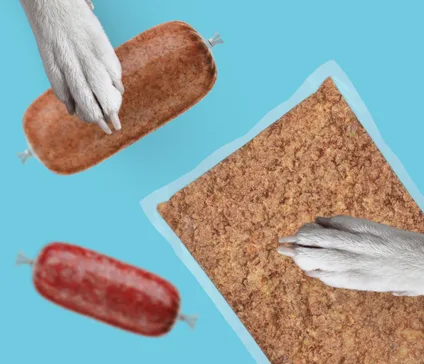 Formatos de salchicha y paquete plano de Guau&Cat sujetos por la pata de un perro