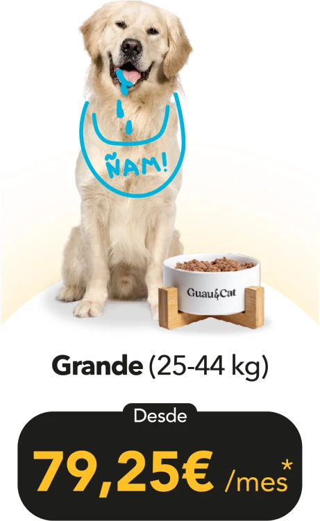 Grande, de 25 a 44 kg: desde 79,25 € al mes