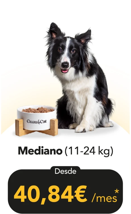 Mediano, de 11 a 24 kg: desde 40,84 € al mes