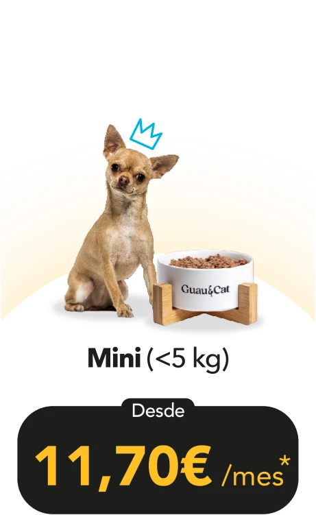 Mini, menos de 5 kg: desde 11,70 € al mes