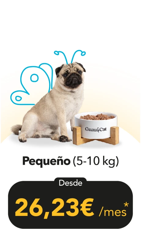 Pequeño, de 5 a 10 kg: desde 26,23 € al mes